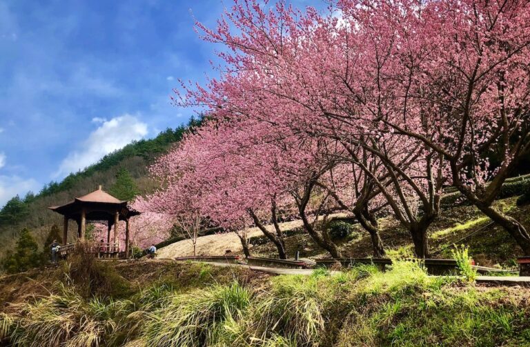 台灣即時影像 - 路況監視器 18 台7甲線 – 中橫公路宜蘭支線