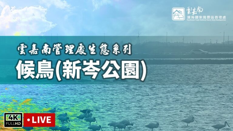 新岑公園
