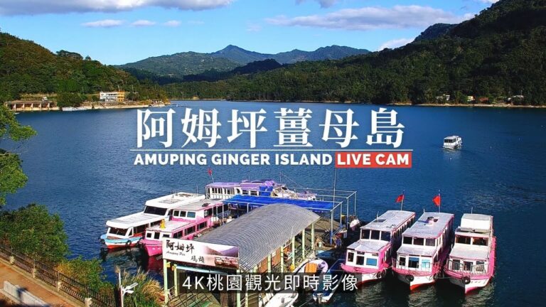 阿姆坪薑母島（石門水庫）