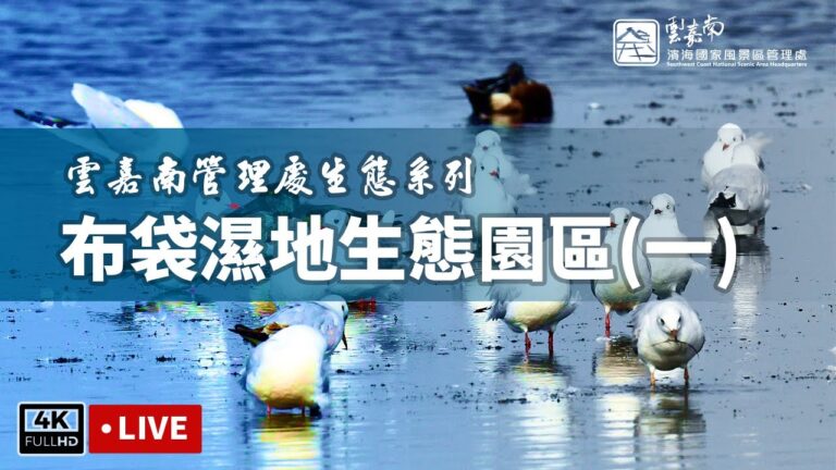 布袋濕地生態園區